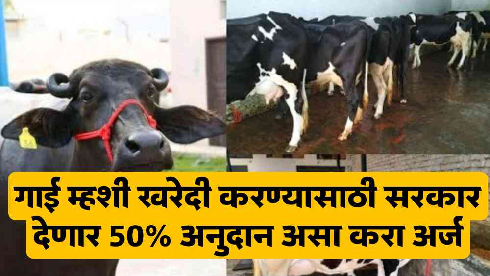 Farmer subsidy